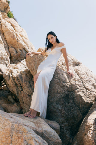 CÅSSIA DRESS - SHELL - One Fell Swoop