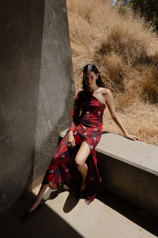 DIVERGENCE DRESS - BRIAR ROSE - One Fell Swoop