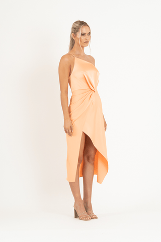 ARIA DRESS IN PERSIMMON - One Fell Swoop